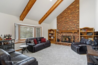 23921 Deer Chase Ln, Naperville, IL 60564 - photo 6