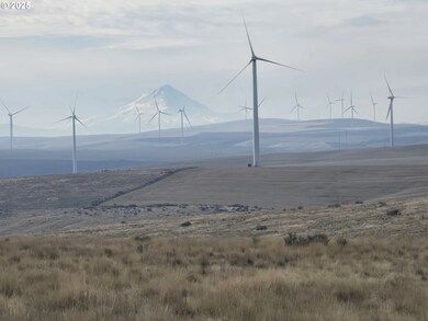 0 Gossen unit 515415298, Wasco, OR 97065 - photo 4