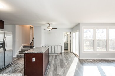 4553 207th St, Matteson, IL 60443 - photo 4