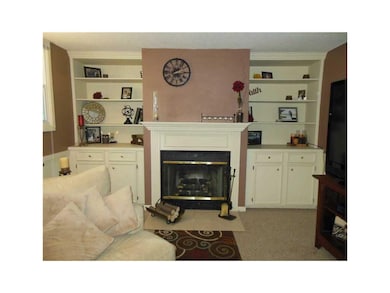 . Lower level fireplace with built ins.