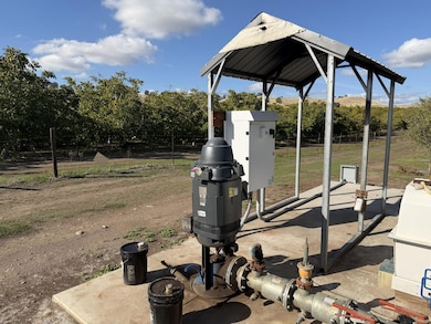 13571 Wimer, Farmington, CA 95326 - photo 3