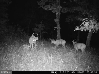 0 Apple Harvest Dr unit WVBE2021352, Cherry Run, WV 25427 - photo 3