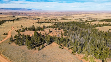 00000 Wilderness Ranch Rd, Red Feather Lakes, CO 80545 - photo 6