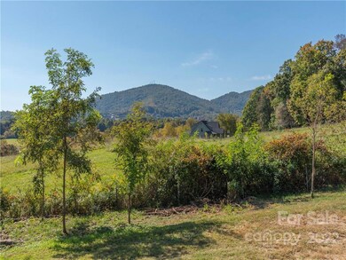 109 Dix Creek Chapel Rd, Asheville, NC 28806 - photo 3