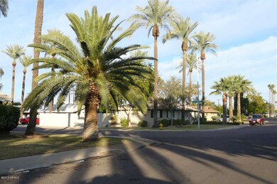 Desireable Date Palm Manor