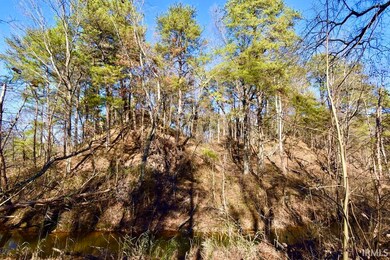 0 Ebeneezer Rd unit 202547593, Tennyson, IN 47637 - photo 6