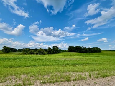 Lot 5 Block 1 River View Trail, Pelican Rapids, MN 56572 - photo 5