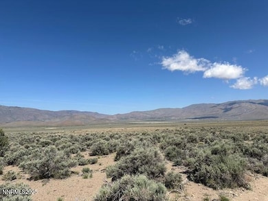 001 E Side Ln, Gardnerville, NV 89410 - photo 2