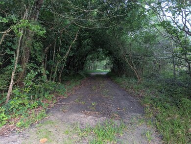 Walking trail from large clearing