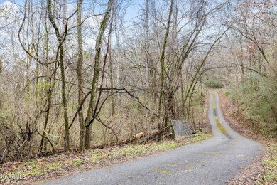 220 Music Way, Knoxville, TN 37920 - photo 7