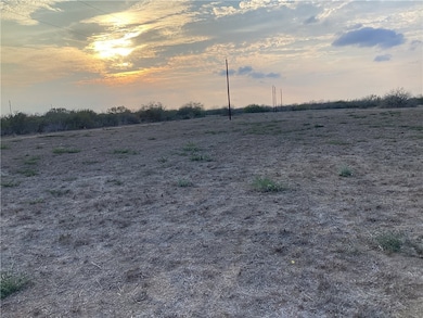 4153 Fm 625, Alice, TX 78332 - photo 6