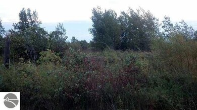 0 S Court St unit 3 1915631, Au Gres, MI 48703 - photo 5