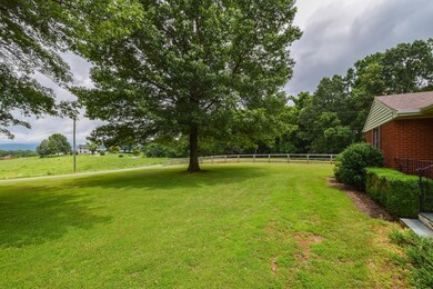 Shade Trees