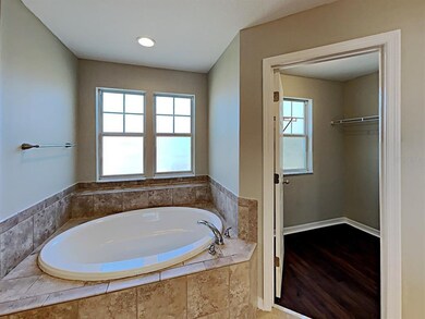 15809 Oakleaf Run Dr, Lithia, FL 33547 - photo 5