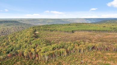 Roberts Road, Spencer, TN 38585