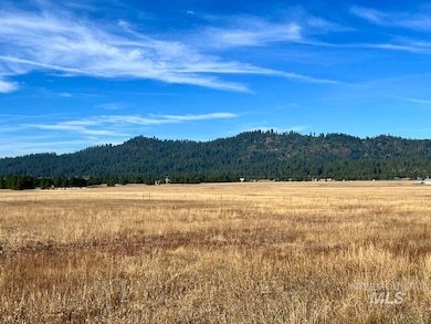 L10 Philadelphia Ln, Cascade, ID 83611 - photo 3