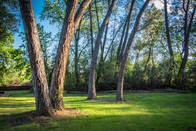 1750 Tiger Eye Rd, Redding, CA 96003 - photo 2