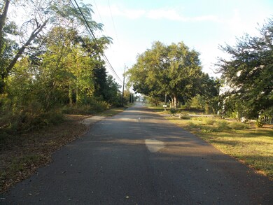 DSCN7509