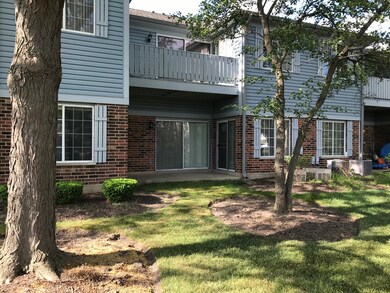 1725 Chesapeake Ln unit 5, Schaumburg, IL 60193 - photo 5