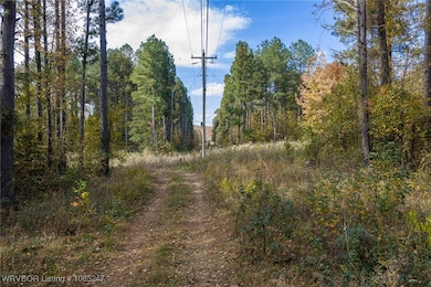 6572 Arkansas 23, Booneville, AR 72927 - photo 4