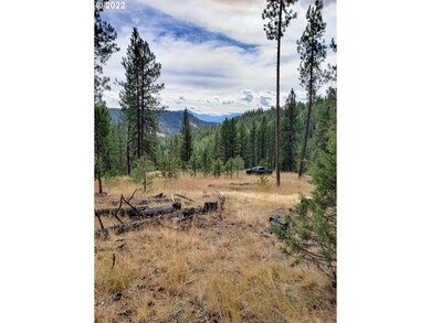 0 Forest Service Rd unit 22044352, Prairie City, OR 97869 - photo 6