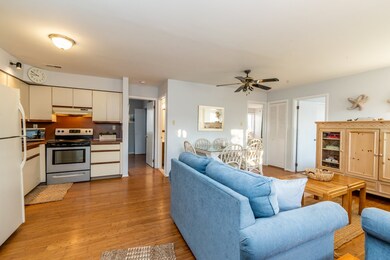 173 33rd St unit 2, Avalon, NJ 08202 - photo 4