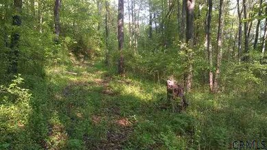 0 Albany Turnpike unit 201319675, Chatham, NY 12136 - photo 5