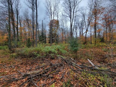 ON Cth A unit Lot 1, Deerbrook, WI 54424 - photo 6