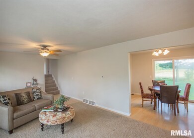 31403 52nd Ave N, Hillsdale, IL 61257 - photo 7