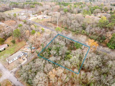 TBD Chattanooga Park, Hot Springs, AR 71901 - photo 4