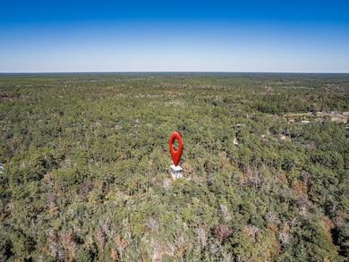 146 Fonigan Rd, Sopchoppy, FL 32358 - photo 4