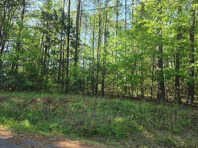 0 Hickory Cir unit 220510, Waverly Hall, GA 31831 - photo 2