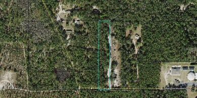 390 Donaldson-Williams Rd, Crawfordville, FL 32327 - photo 2