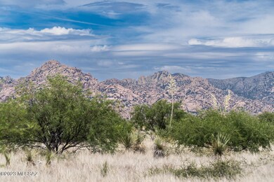 36.33 Acre E Tom Jeffords Dr unit 66, St. David, AZ 85630 - photo 4
