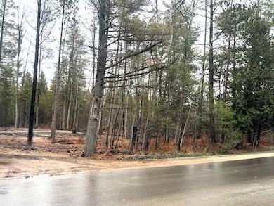 V/L L71-75 Evergreen Dr, Grayling Township, MI 49738 - photo 3