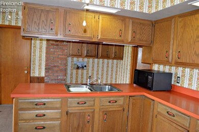 4205 N Elliston Trowbridge Rd, Graytown, OH 43432 - photo 6