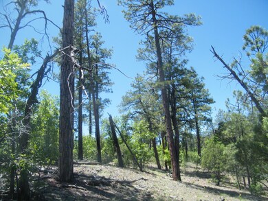6204 N Wildcat Trail, Show Low, AZ 85901 - photo 6