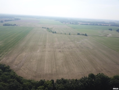 000 N Stanford Rd, Flora, IL 62839 - photo 3