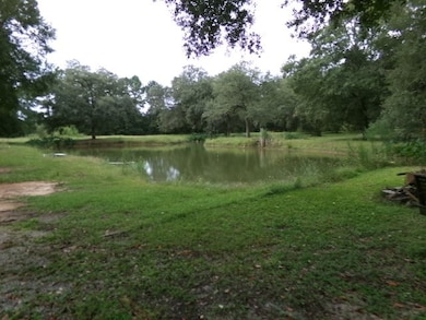 3144 Old Pelham Rd, Camilla, GA 31730 - photo 4