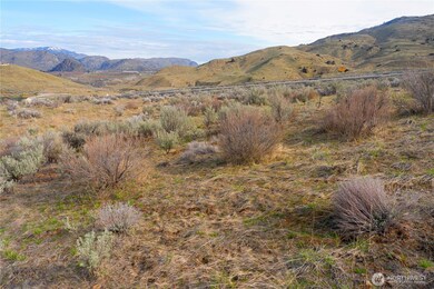 0 Tract 2 McNeil Canyon Rd unit NWM2382698, Orondo, WA 98816 - photo 5