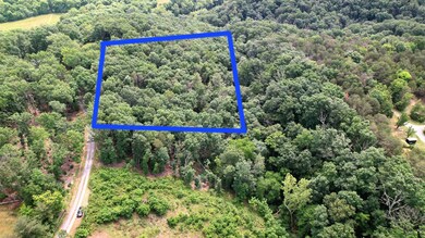 Lot 40 Off N View Dr, Stanley, VA 22851 - photo 3