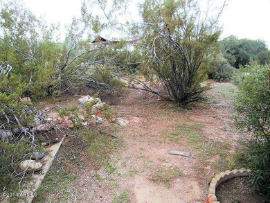 023-256653 - back yard