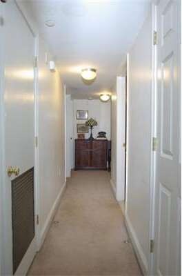 3 Lambert St, Roxbury, MA 02119 - photo 7