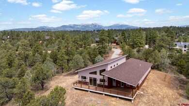 640 Sawmill Rd, Durango, CO 81301 - photo 3