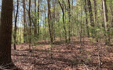 LT 1 Dover Highlands Trail, Ellijay, GA 30540 - photo 4