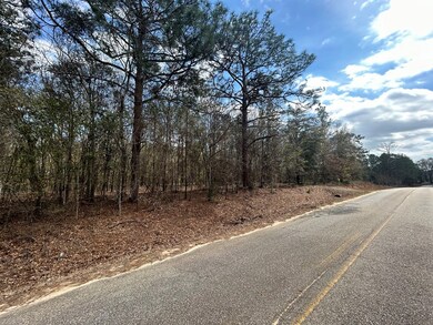 000 Rabbit Run Rd, Baconton, GA 31716 - photo 6