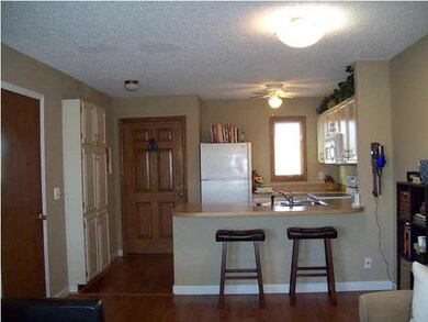 Open kitchen to living room. Kitchen fully applian
