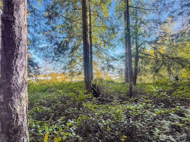 300 Kerr Rd, Silver Lake, WA 98645 - photo 6