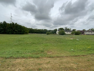 Lots 2 and 3 E Etna Rd, Ottawa, IL 61350 - photo 4