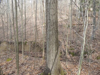 9037 Stage Rd, Logan, OH 43138 - photo 7